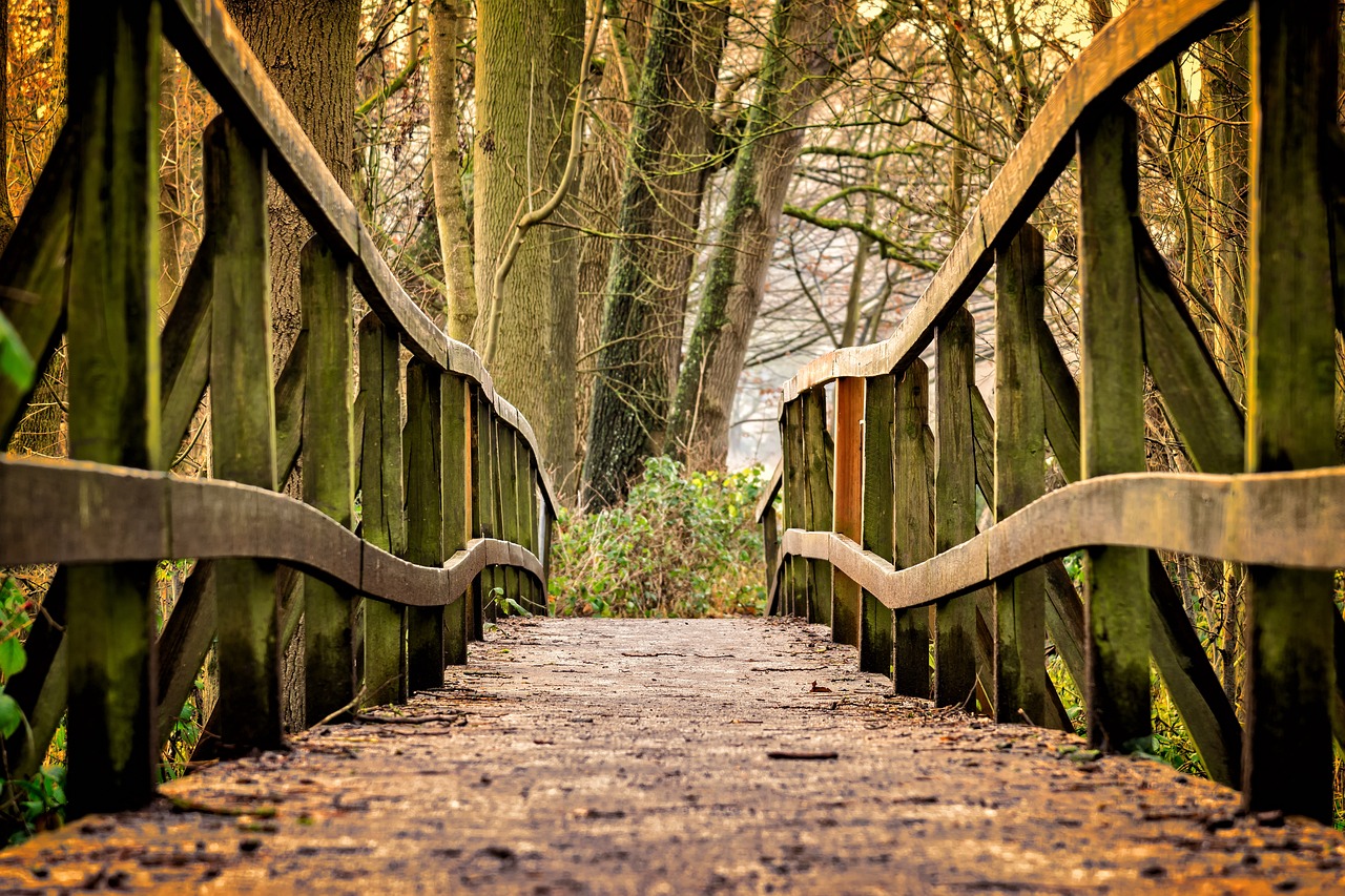 Why City Parks are Vital Components of Green Cities
